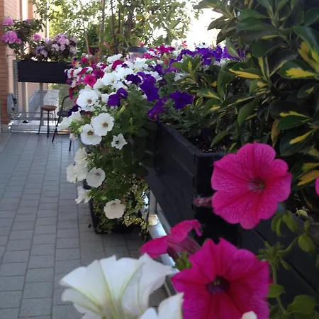 Bed & Breakfast Pitstop Anzola dell'Emilia